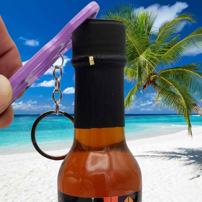 purple aluminum metal cat self defense keychain